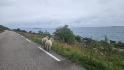 34324a92-9dfe-4442-a380-c2e243268783