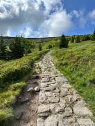 31dc605a-a28a-4c08-a090-78287bde8193