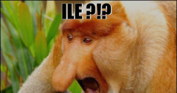 cdb81a30-c21a-429e-87d4-a345e11c3da4