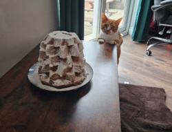 a82ace5a-5246-4f85-b633-5bf5a41a31ca