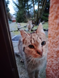 8471c05e-d581-4cc7-8044-bb0246cb7b84