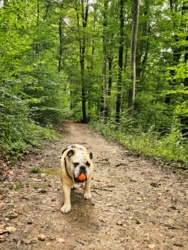 29320d07-75b7-464b-a22d-4d7cb06c83d3