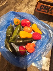 d907c816-c19a-4906-a555-2cdef4dcbb41