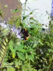 45f2df7e-8bb8-4dfd-8869-b0da3912e1a2