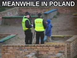 89f16da9-3a47-4dc3-853b-2b3a24766263