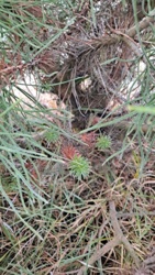 b0640631-b06d-4eab-9d9e-ee76a5f4e1e1