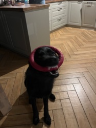 f1c6d9b5-7153-4cab-b0a9-5f5a9bd511ca