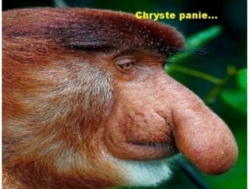 43447699-5fd1-4f95-82e4-2ef5b2cb510a