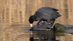 b9bb7c1d-c91d-47a0-8664-5473eb1ca74d