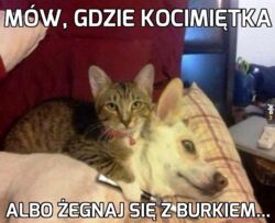 7d980b83-3bae-46a6-b538-ba89251b7827