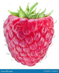 4f209973-e46c-452c-9b8b-d5dd46c80cc2