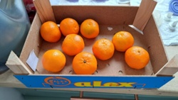 68ca0cae-04d0-48e0-a5d0-606d89a1df30