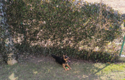 ae9d7d3e-e74f-4677-a88f-3343e585a414