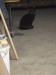 4eea5fbc-012b-4fc4-8023-8b4a5dc22e62