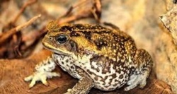 52f5a7bc-6015-47f4-b518-67e5cdf9ab32