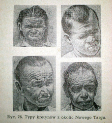 de2f705e-26b6-4c64-9062-4603a0f437f0