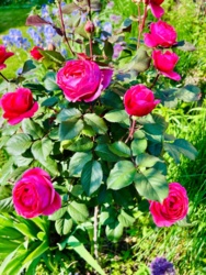 617a9322-bf5e-44a4-81e1-73d597d7b7a3