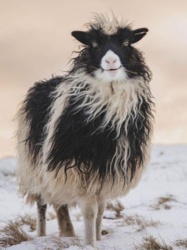 91553254-6bdf-48f7-82c7-1dd00978688e