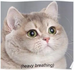 54438745-faa8-4bf9-9c65-8fa70ac03bce