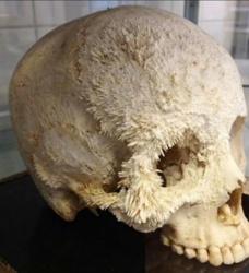 7bf820d7-08a3-4c15-a53b-8f04431a170d