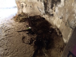 fe00cbd4-6b60-4e7e-868a-13fe51ef94ed