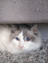 0e78cd93-e256-4fae-b7e6-837d1c3e4e3f