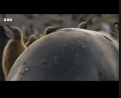 83700880-38da-4929-a223-d27e16654d47