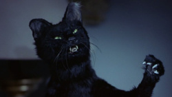 0bd9c553-6026-414f-a2c7-308af6533a46