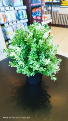 072b4f4a-14b7-477a-bfd4-caaa1cabe789