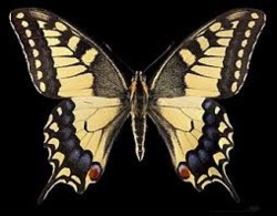 05567263-1122-4191-9305-9c297b3f72a5