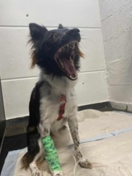 ea073739-0b36-4aec-883f-35c93b02dc57