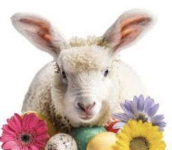 1db8ff5a-f213-4d61-b0f6-68a395324682