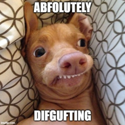 9514d01f-076a-4594-866e-673f297e453e