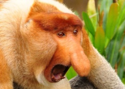 5b2a3ee0-7b5a-43c5-b311-89dd420d24af