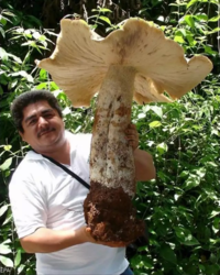 1210997f-767f-4313-ad97-8c8eb0c1f409