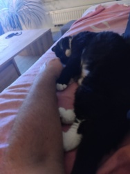 010aebb7-cc69-49df-b6cc-4ad3831220e4