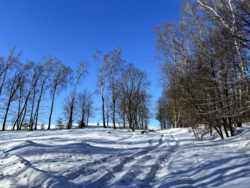 7c4b0d5c-fa4d-4ecf-b9bb-f9f999b6f6f6