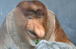 601dfee0-4ada-4f30-bd82-2eec6d2c6bf9