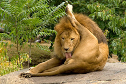 0cc11e3d-a05c-4277-b8e1-a64d55b5a785