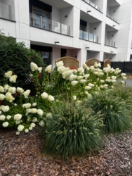 05423b90-663b-4f50-aa94-1d7fe7907e5d