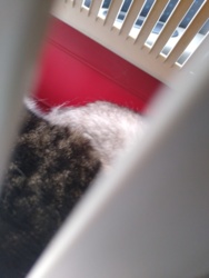 e22177c8-8d11-45d5-a843-9b3d12b05253