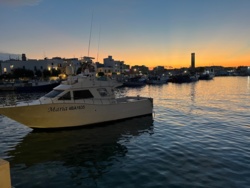 d8f5b79c-2609-434a-b1f6-da740351db28