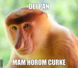 eace662c-a5c8-4fa9-bf34-8df1c847a108