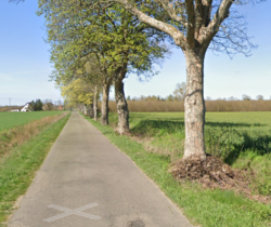 91892792-cb38-4576-85e9-86e56f17afa4