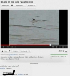 c5d4bf6a-78ca-4f7c-9bea-ea18874e2781