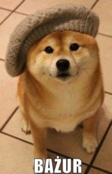 dade8932-c9b4-434e-a8f9-88e06f9ccd5a