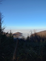 1a404ab3-0d06-4b0a-902d-912578cf0fe3