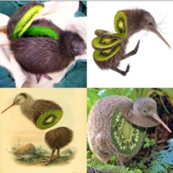 4520bf1d-925e-40df-8802-c8dc033ce1f9