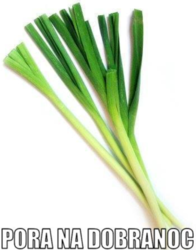 f3dc3f67-552c-4b18-8aa7-2962df2e9a91