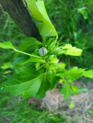 70776d18-7443-4b1b-be99-d9f591892b77